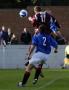 LINLITHGOW ROSE_v_IRVINE_MEADOW_AW09.jpg